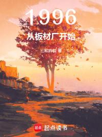 1996：从板材厂开始