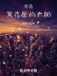半岛黑夜里的太阳
