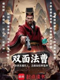 双面法曹