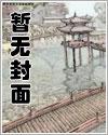 绝世高手调教大宋